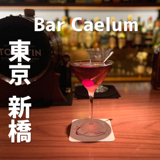 《東京 新橋》　大人の隠れ家的オーセンティックバー🍸