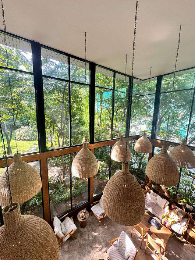 🌟MiVana Coffee คาเฟ่ป่ากลางกรุง