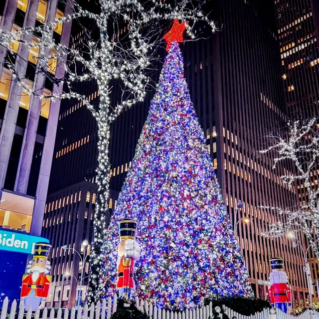 Stunning Christmas Trees in NYC 