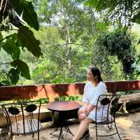 Rebalancing life at Chestnut Hill Eco Resort