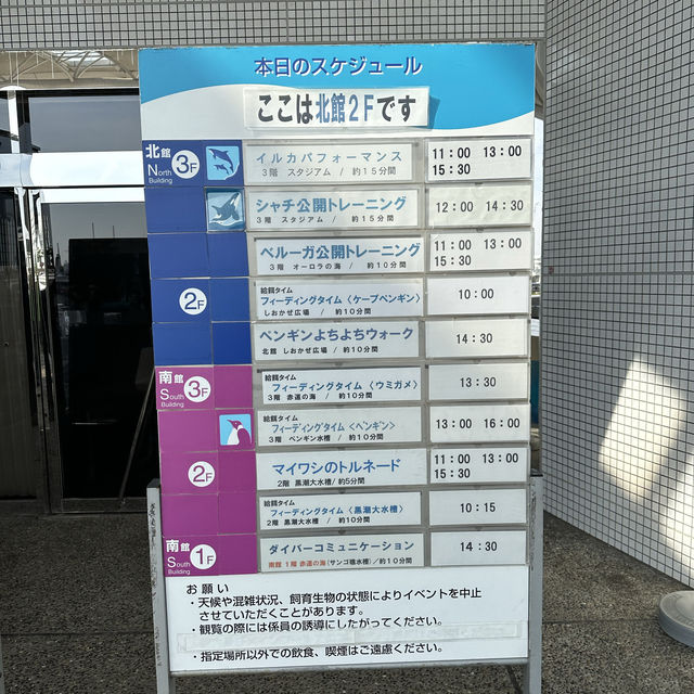 Fun filled time at Nagoya Port Aquarium  Fun filled time at Nagoya Port Aquarium