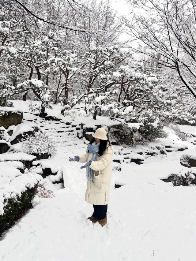 강원도 안 가도 눈꽃 구경 제대로 할 수 있는 서울 숨은 명소❄️