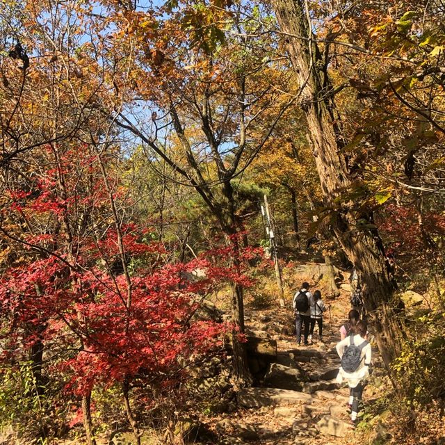 Dobongsan Mountain 