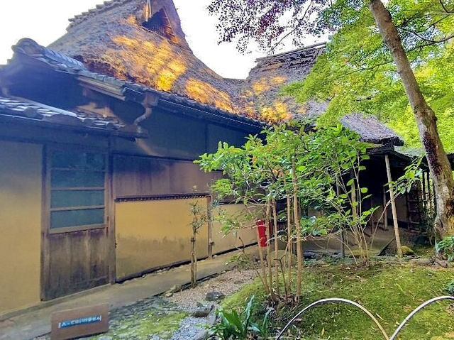 Traditional garden in Nara