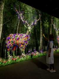 ARTE M ดิจิตัลอาร์ตดังจากเกาหลี เปิดที่ฮ่องกงแล้ว