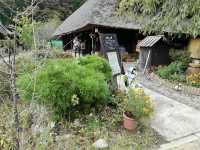 Traditional Japanese Village 