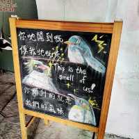 B612星球的小王子👑抵達了地球的海洋公園🌏