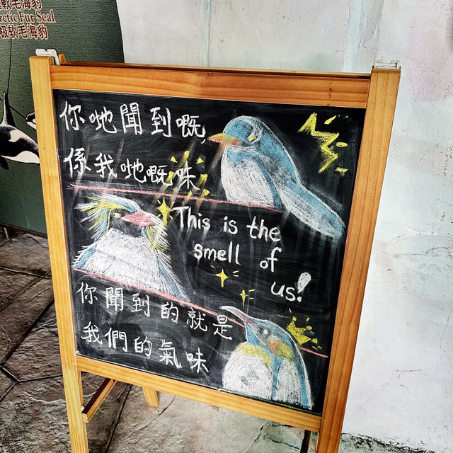 B612星球的小王子👑抵達了地球的海洋公園🌏