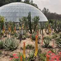 深圳仙湖植物園，愛花人士必到景點