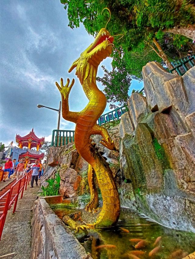 Huge! Centipede of Seremban