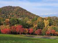Asahiyama Memorial Park 