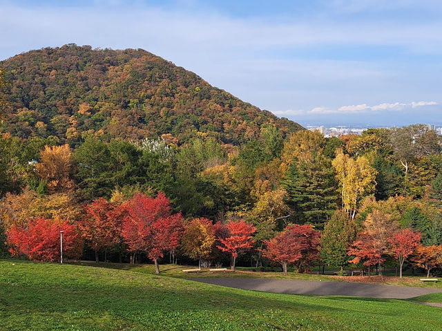 Asahiyama Memorial Park 