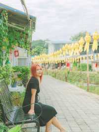 🏡 เชียงใหม่ . . . ไปกี่ครั้งก็ไม่เคยเบื่อ