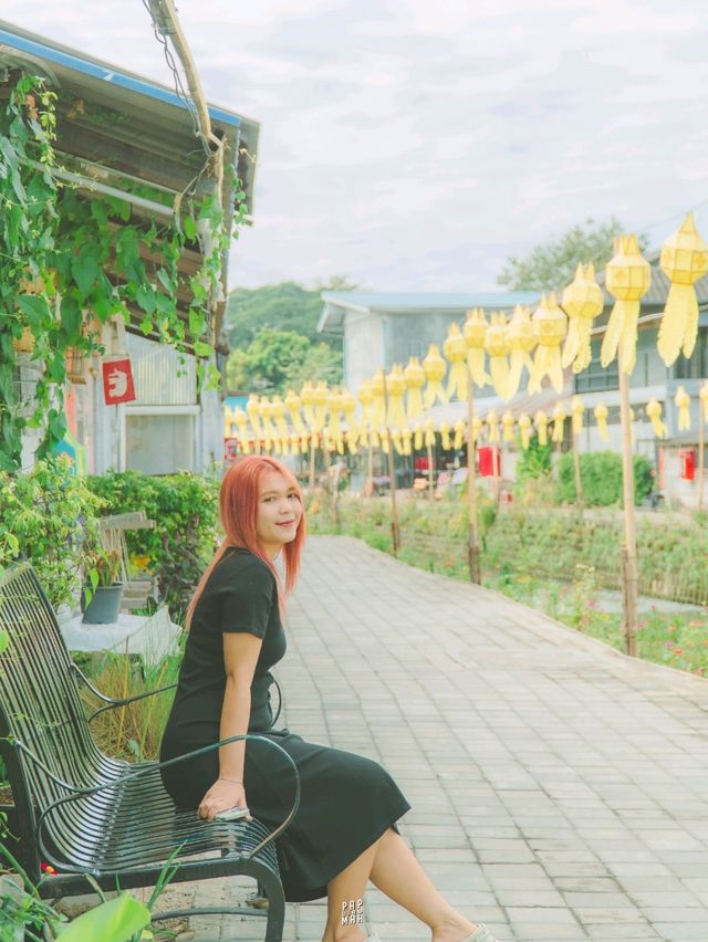 🏡 เชียงใหม่ . . . ไปกี่ครั้งก็ไม่เคยเบื่อ