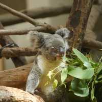 Kanazawa Zoo