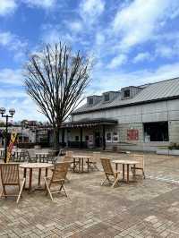 【栃木】桜の時期にオススメ！一日遊べる道の駅ろまんちっく村