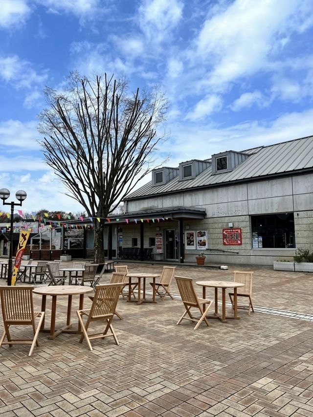 【栃木】桜の時期にオススメ！一日遊べる道の駅ろまんちっく村