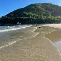 「如田海水浴場」：暢遊沙灘，重溫童年快樂