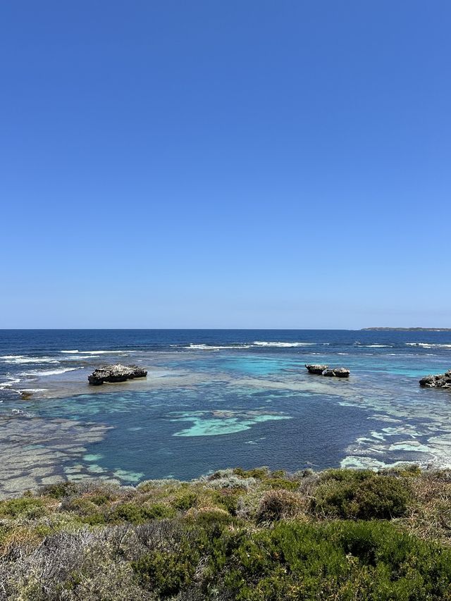 Rottnest Island