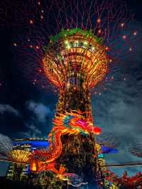 140 Metre Dragon Lantern in Singapore