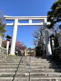【新宿下落合氷川神社/東京都】歴史深い神社と河津桜