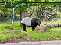 Melbourne Zoo