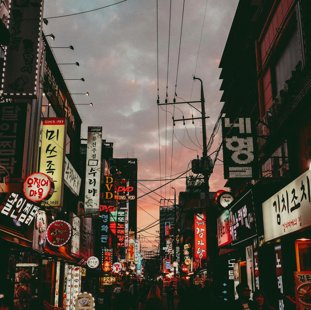 Blossom-Filled Exploration of Korea's Streets