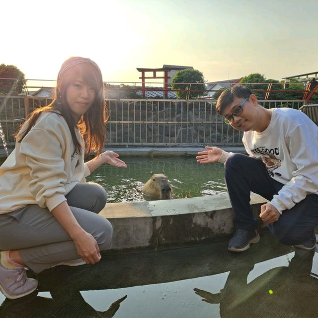 宜蘭綠舞日式主題園區，彷彿飛到日本渡假✨️