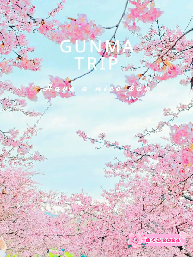 【群馬】超穴場!!絶景の桜並木が見れる!!春のおでかけスポット🌸