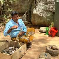 Srilanka Snake guy