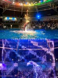 【東京】【品川】リトルマーメイドっぽいデジタルアート水族館🌴🐬✨