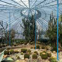 【臺北景點】臺北植物園：大自然之美，綠野仙境