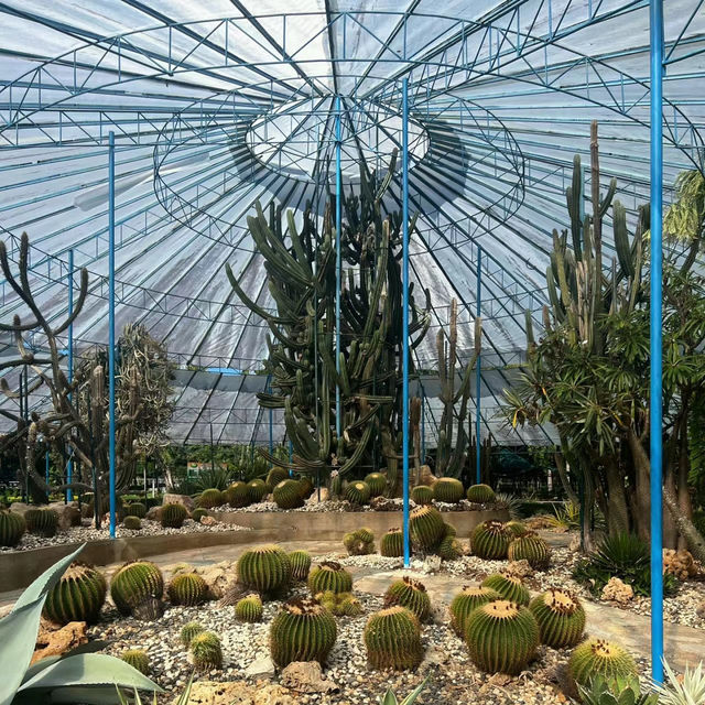 【臺北景點】臺北植物園：大自然之美，綠野仙境