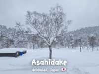 🇯🇵ลุย Asahidake ภูเขาที่สูงที่สุดในฮอกไกโด🇯🇵