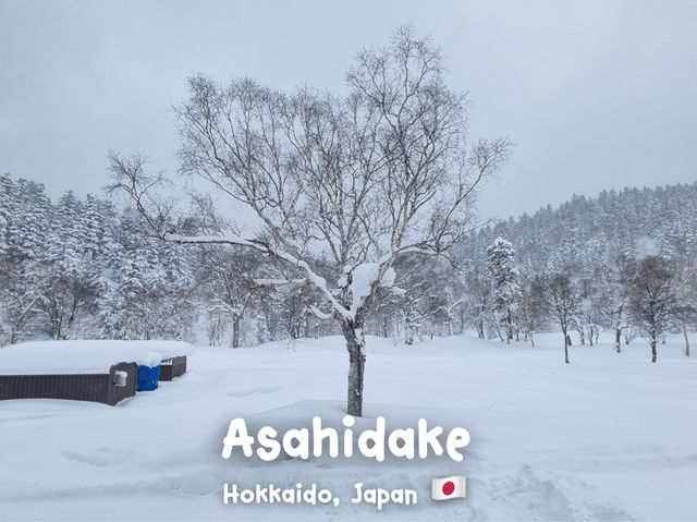 🇯🇵ลุย Asahidake ภูเขาที่สูงที่สุดในฮอกไกโด🇯🇵