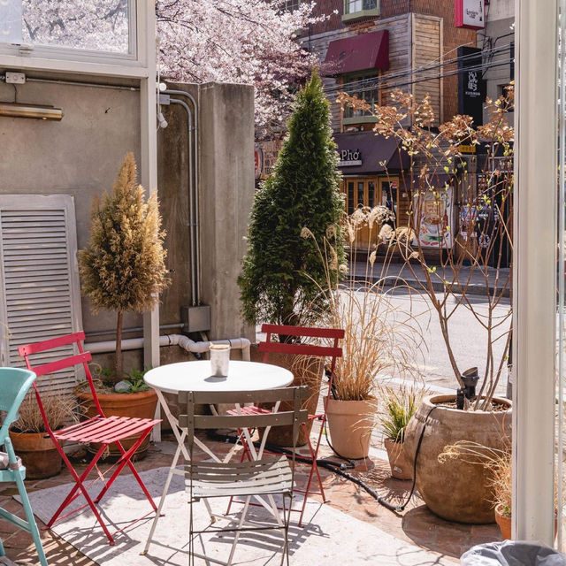 首爾合井櫻花咖啡廳：賞櫻好地方，美味咖啡甜品不容錯過