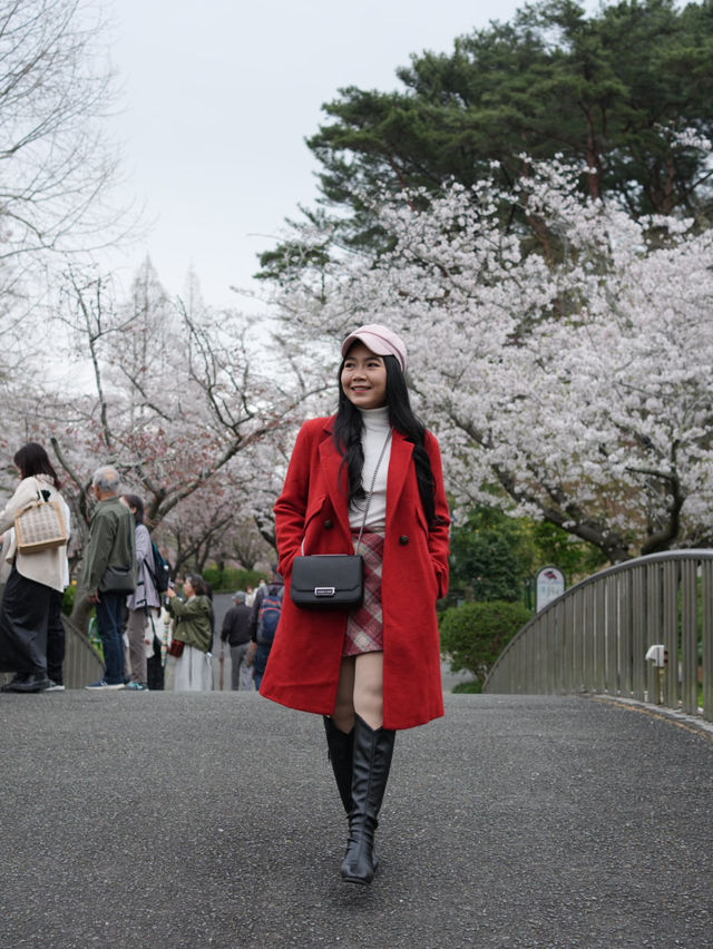 Hamamatsu Flower Park สวนดอกไม้ซากุระบานฉ่ำ