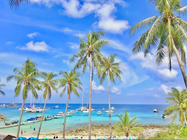 라차 야이 다이빙 스팟