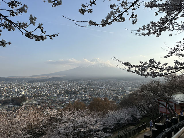 【💮新倉淺間神社💮】日本🇯🇵宣傳照的原模型：富士山🗻、櫻花🌸、五重塔🏯，一張盡收眼簾下。