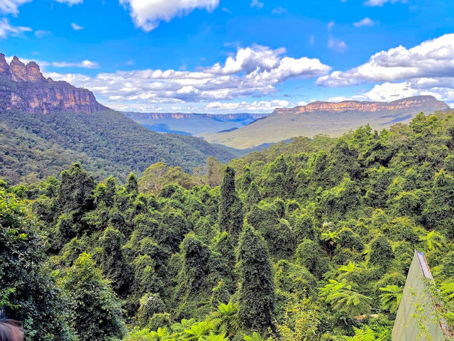 Scenic World