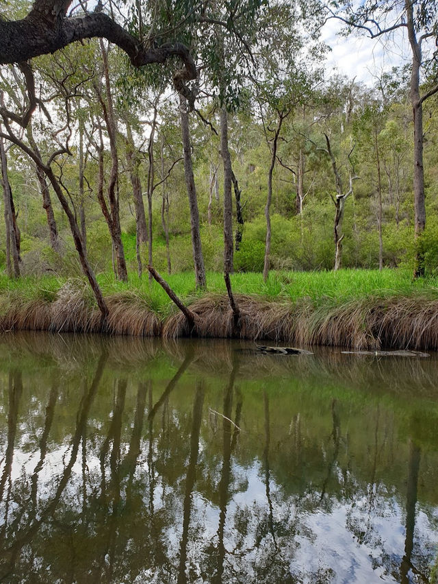 Serpentine National Park