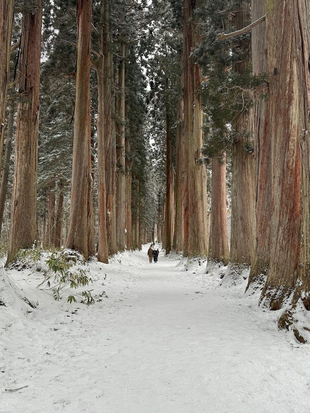 Togakushi-Jinja 