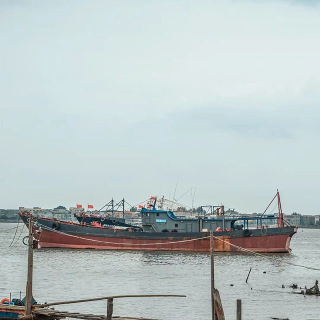 「龜吼漁港：海鮮美食，特色小攤體驗」