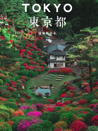 시오후네 간논지 사원: 도쿄 외곽에 있는 꽃 사원