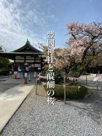 【2024桜】成長が楽しみ大阪豊國神社と醍醐の桜