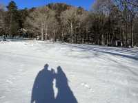 Why you should visit Nikko, Japan (Jan 2024)