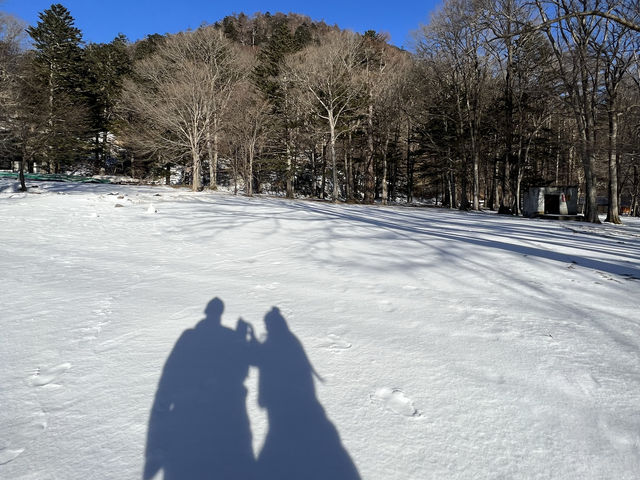 Why you should visit Nikko, Japan (Jan 2024)