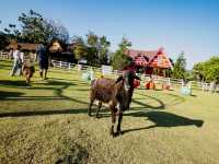 Royal Good View Resort & Farm