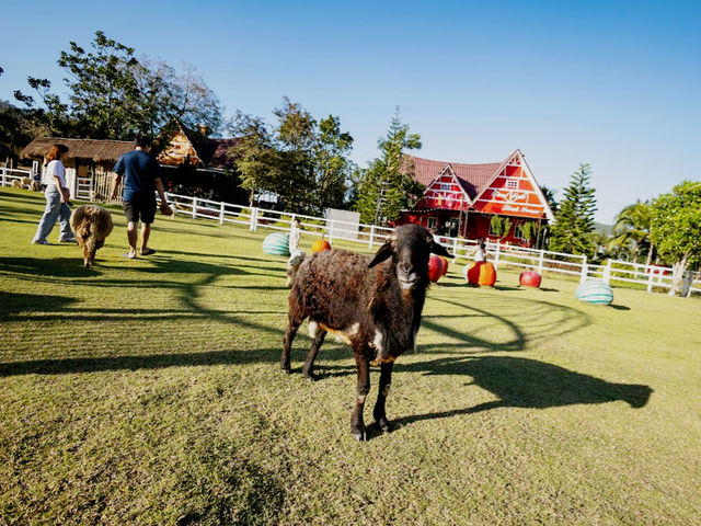 Royal Good View Resort & Farm