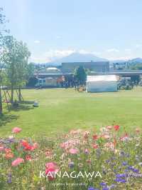 【神奈川/平塚】富士山がみえるガーデン